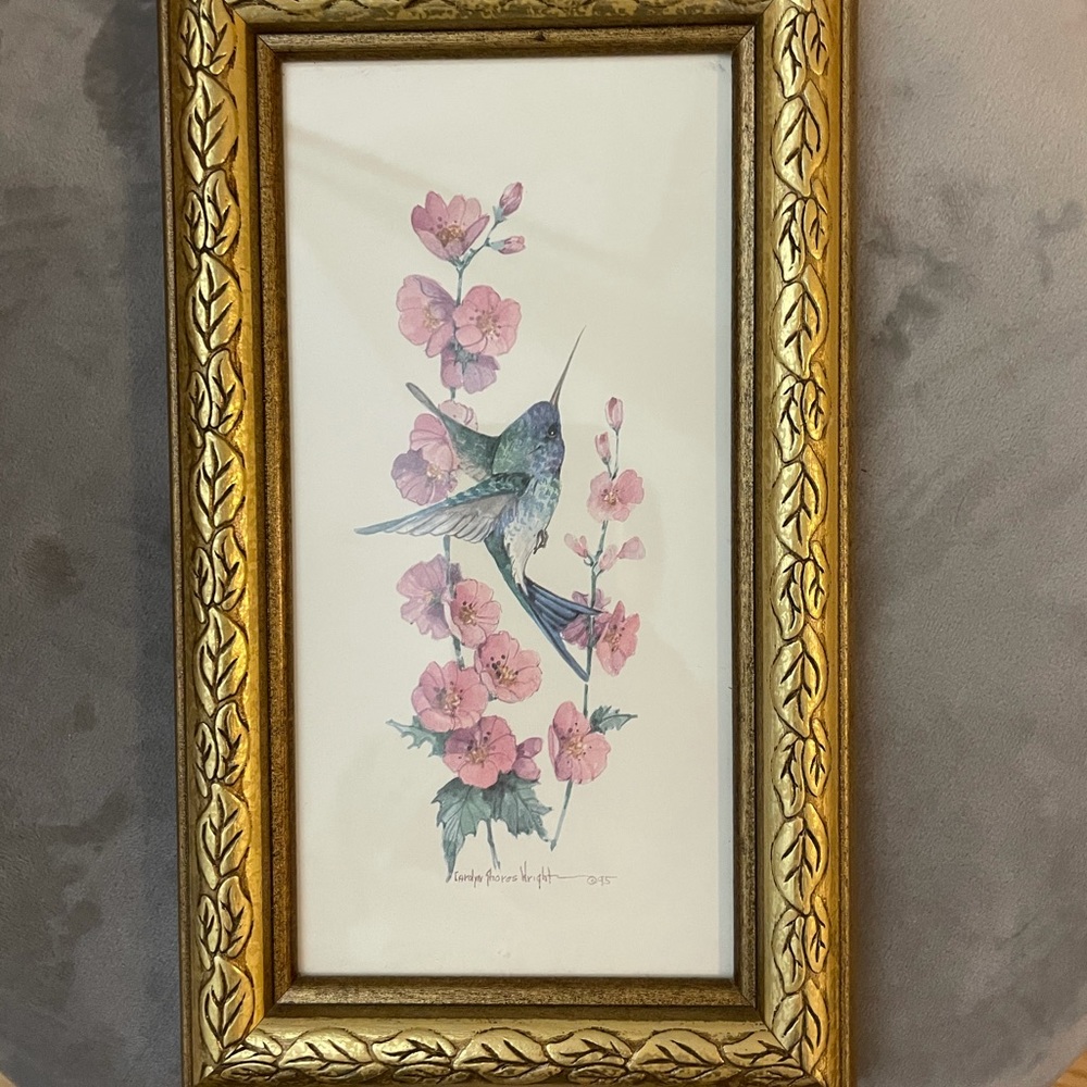 Bird picture